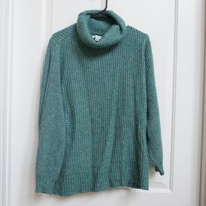 Teal blue/green turtleneck from American eagle